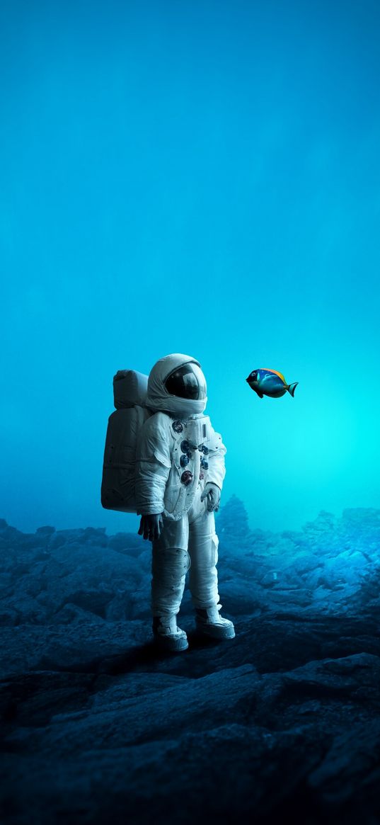 astronaut, underwater, fish, art