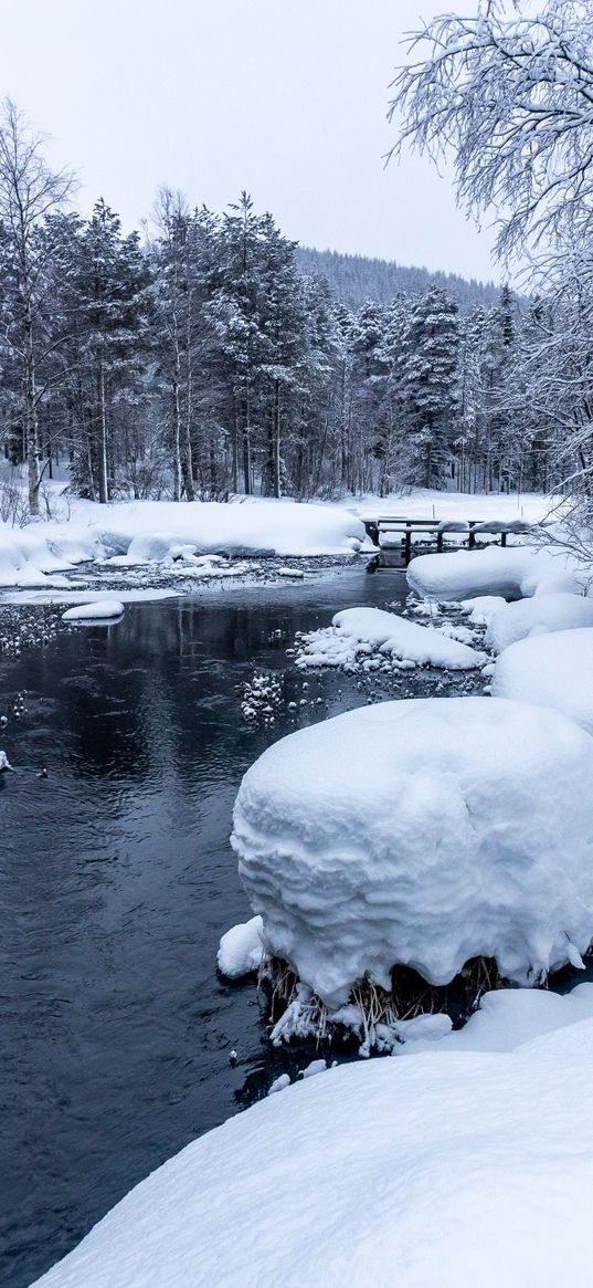 forest, river, snow, bridge, snowy