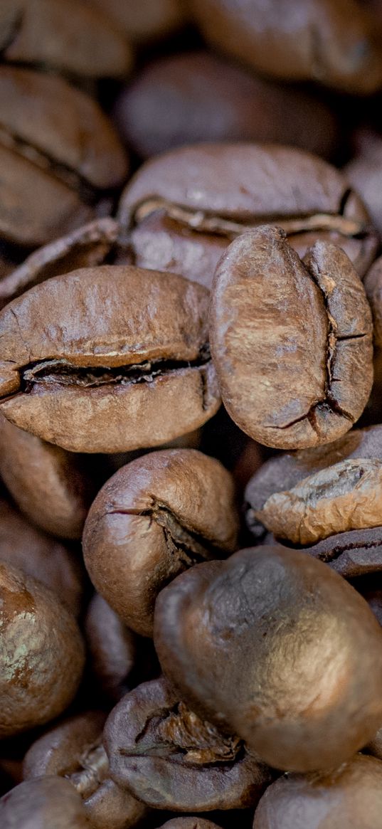 coffee, coffee beans, macro