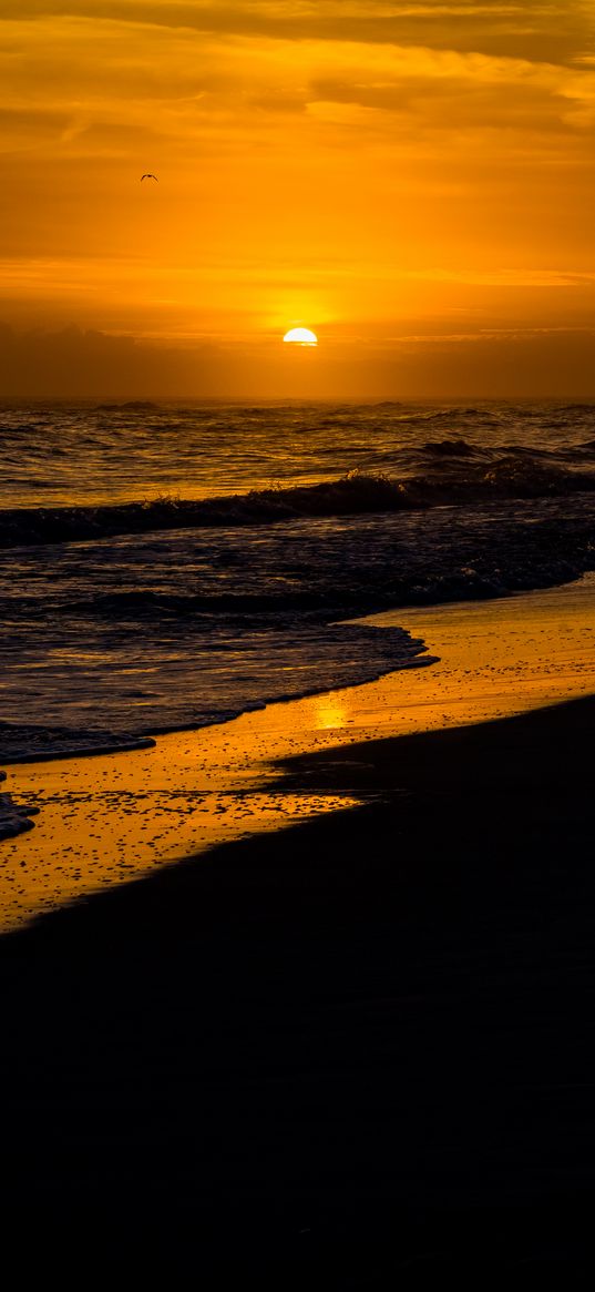 sunset, beach, sun, tide