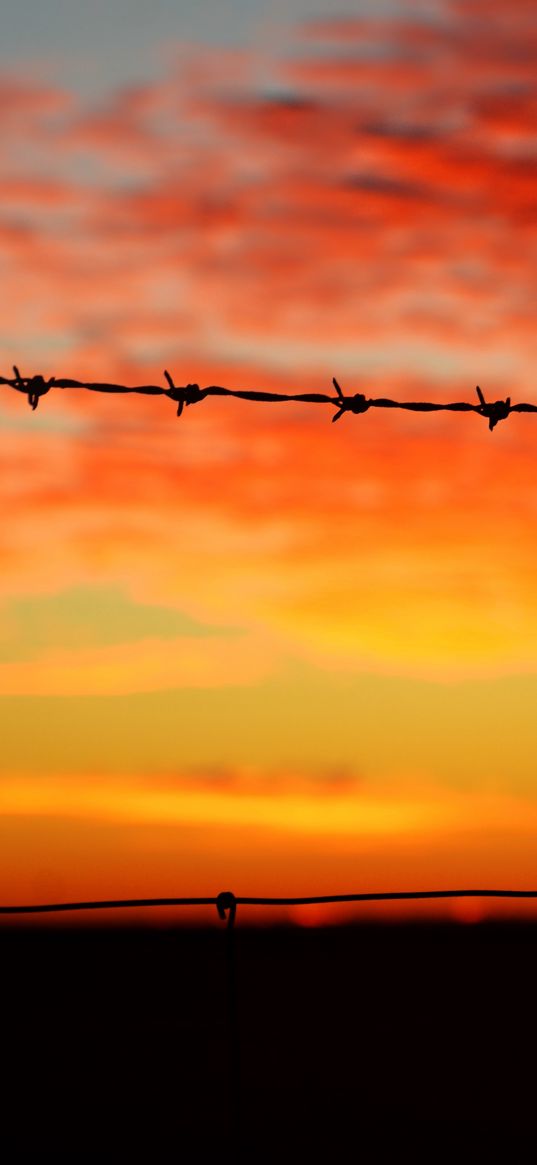 barbed wire, sunset, horizon