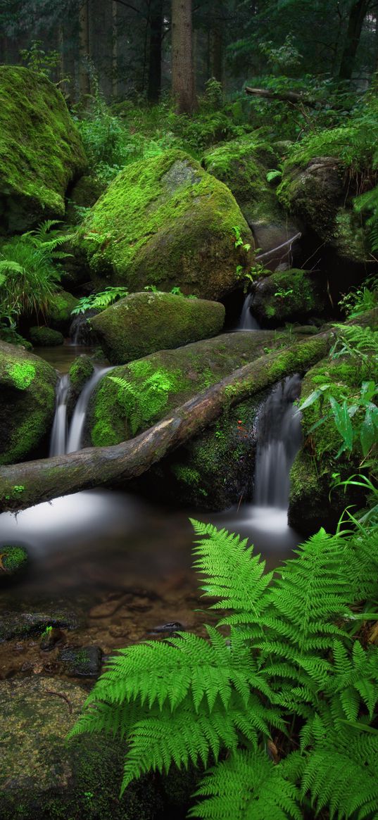 waterfall, fern, stones, moss