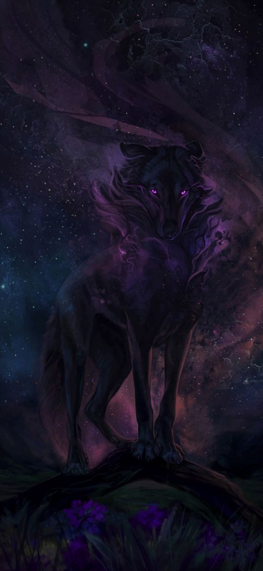 wolf, art, night, dark