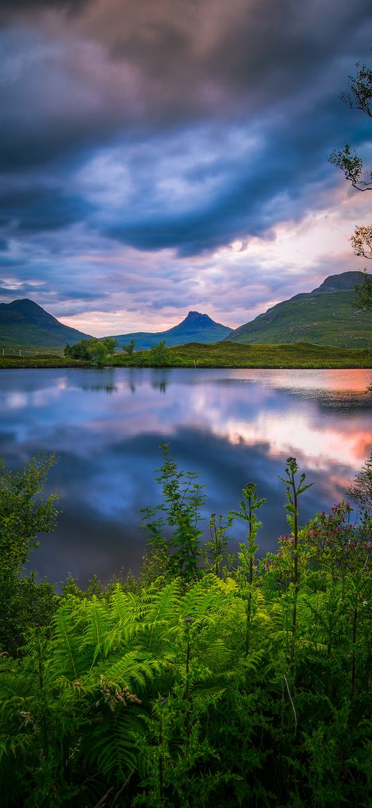 volcano, peaks, fern, lake