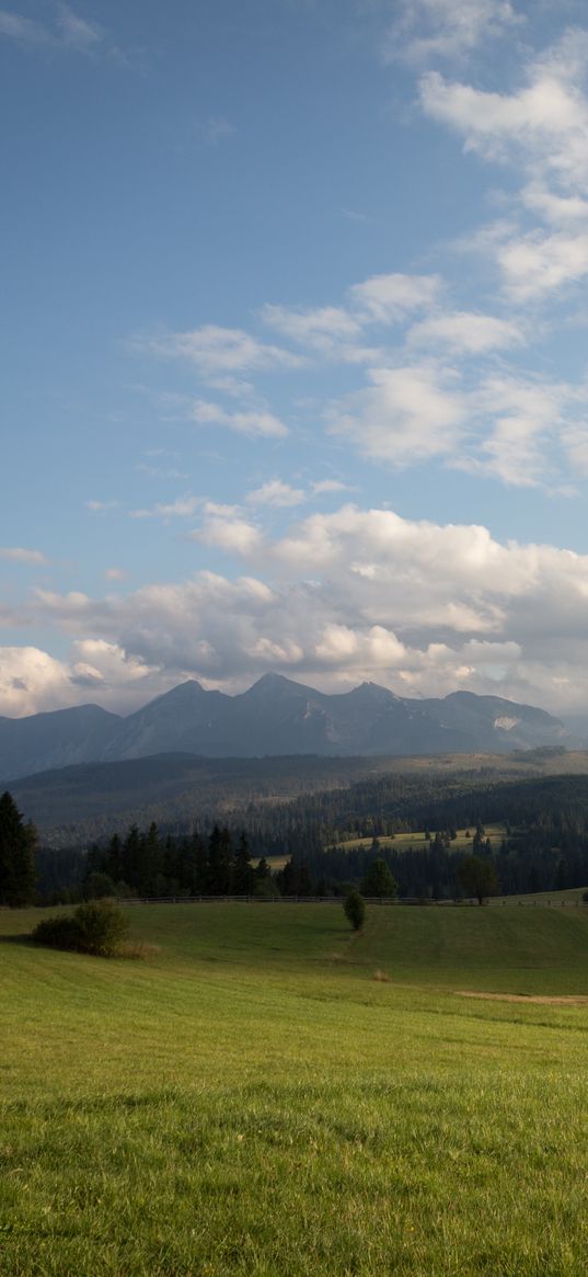 hill, meadow, grass, sky