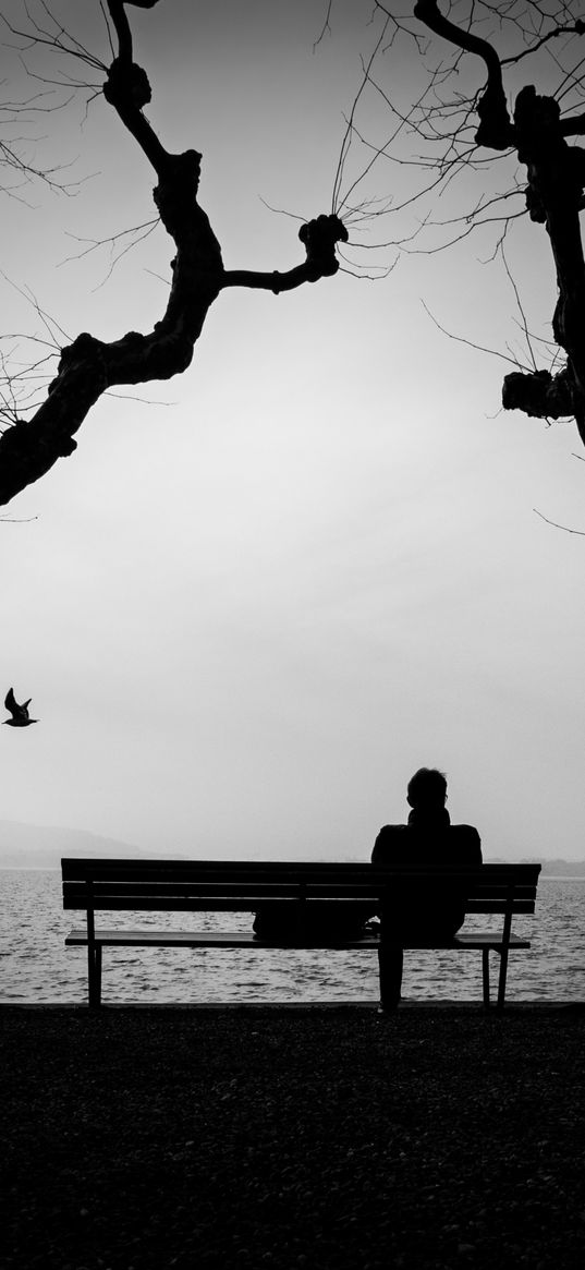 loneliness, lonely, bench, silhouette