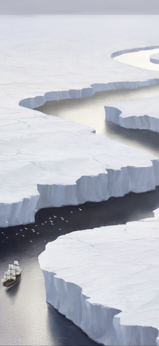 ship, ice floes, bird, art