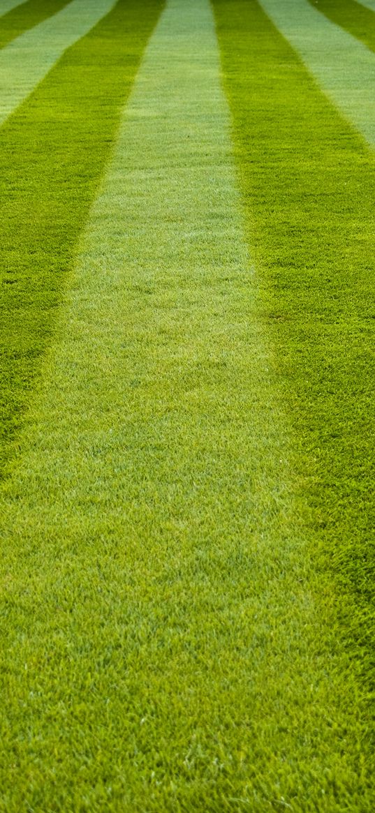 grass, field, green, stadium