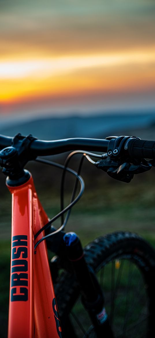 bicycle, steering wheel, evening