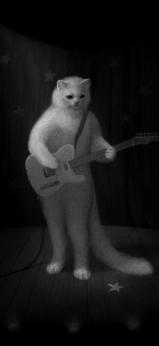 cat, guitar, bw, musician