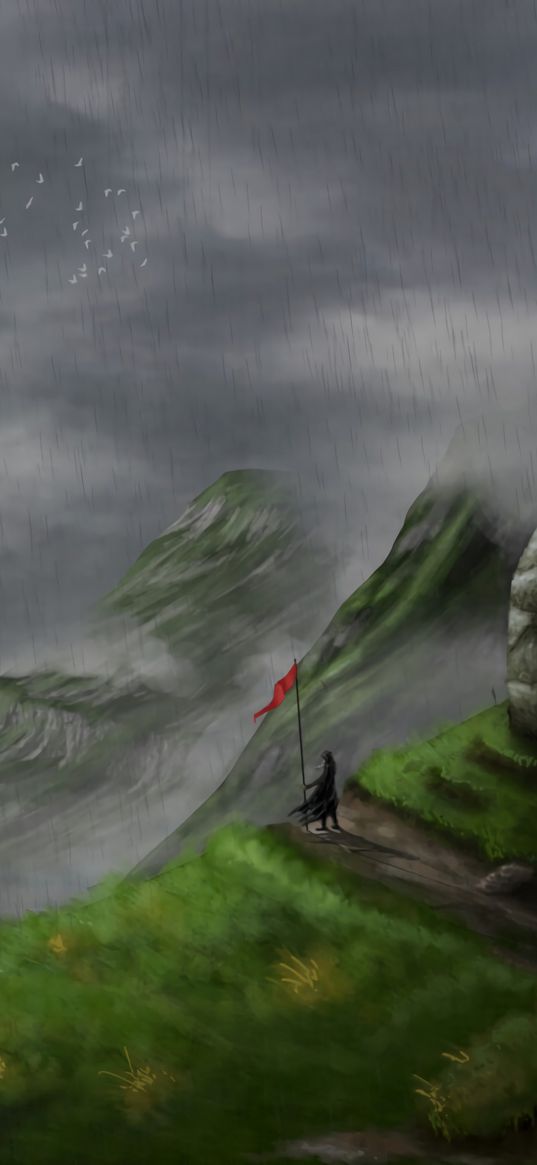 traveler, flag, rock, rain