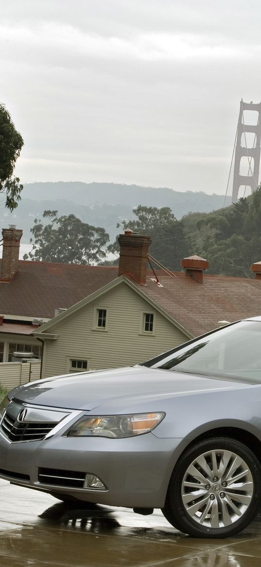 acura, rl, 2010, metallic gray, side view, style, sedan, nature, building, bridge, trees, reflection