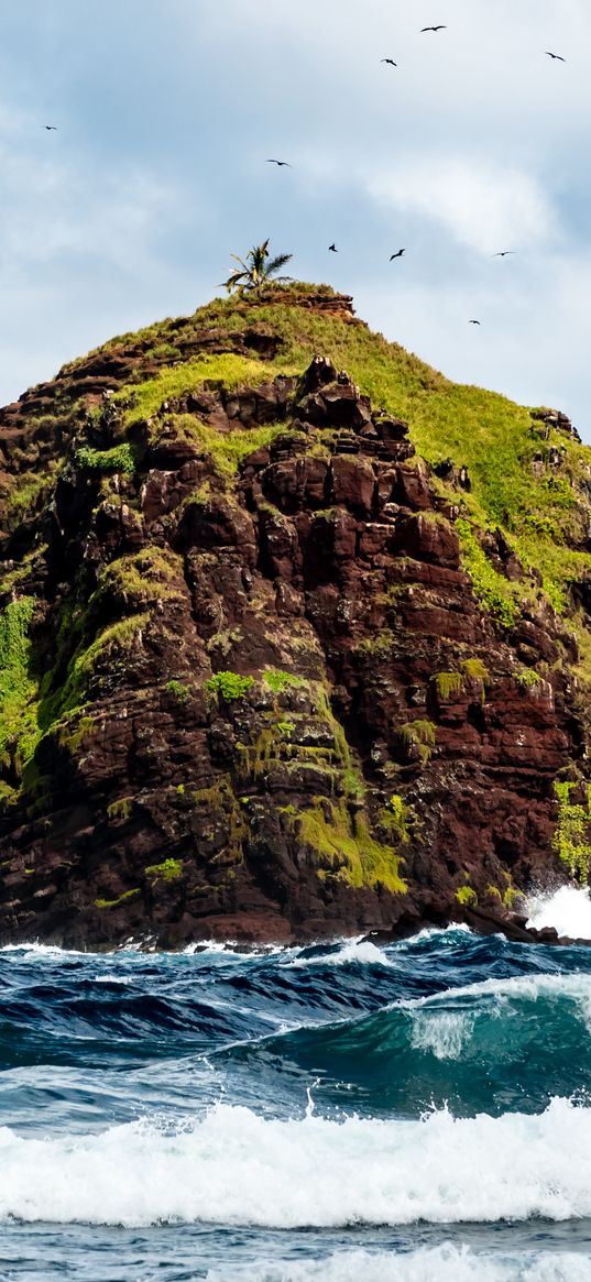 rock, block, moss, waves