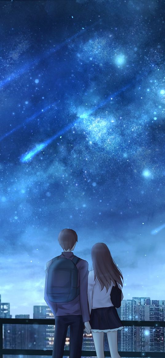 lovers, starfall, starry sky