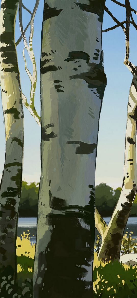 birches, trees, art