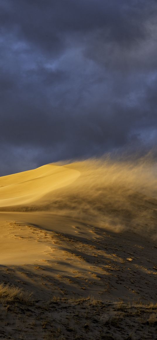 desert, dune, sand, wind