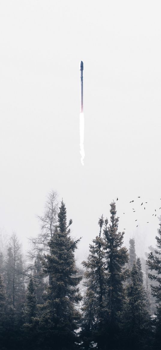 rocket, smoke, trees, fog