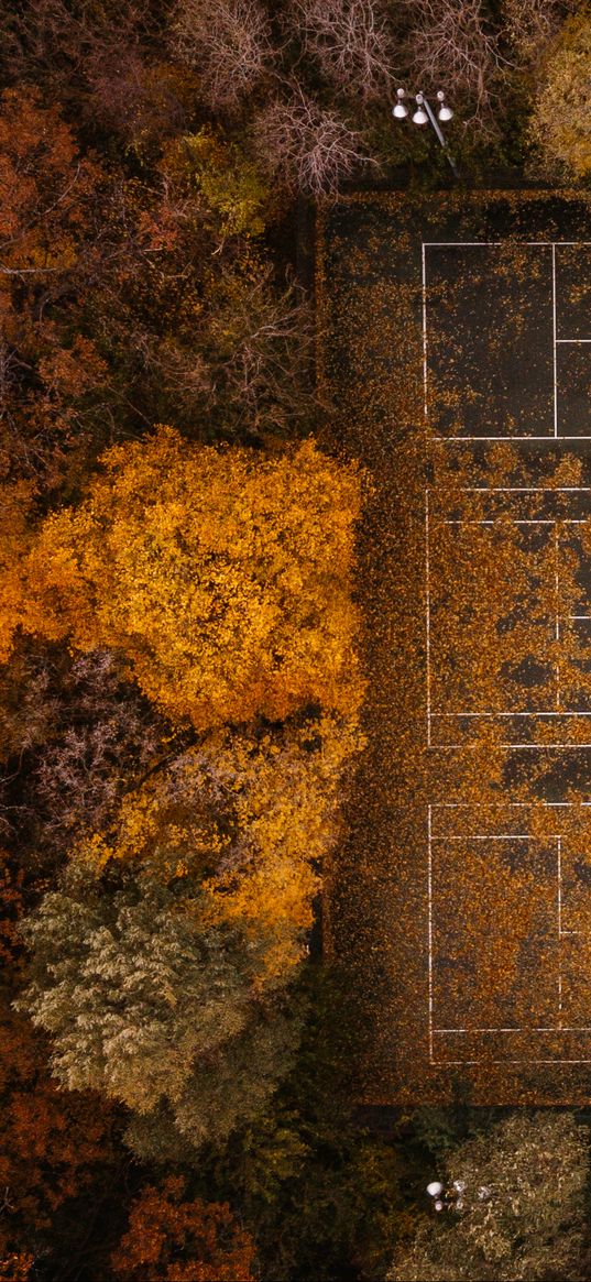 tennis, tennis court, autumn, aerial view