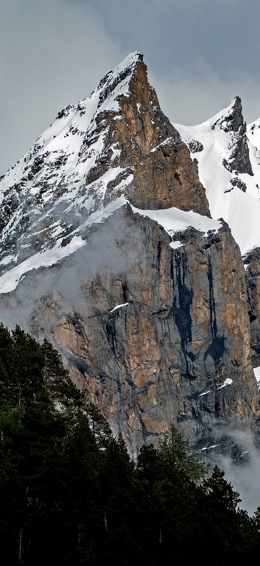 peak, mountains, gorge, forest, snowy, switzerland