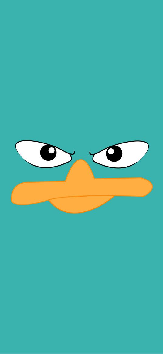 duck, face, beak, eyes, vector