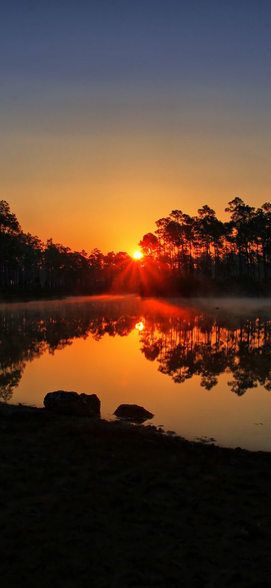 sunset, lake, rays, trees, florida