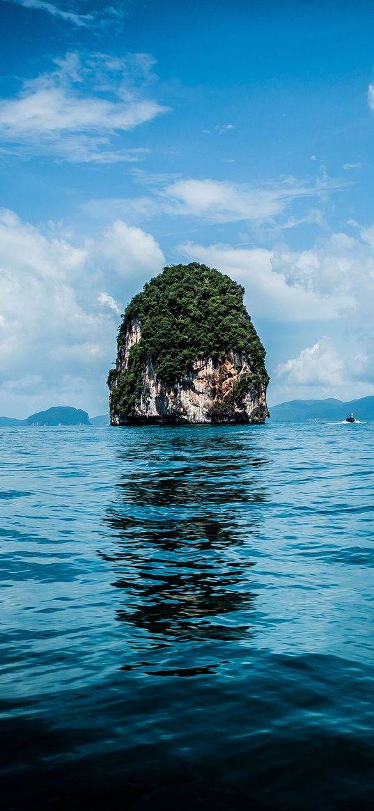 sea, rock, plants, tropical