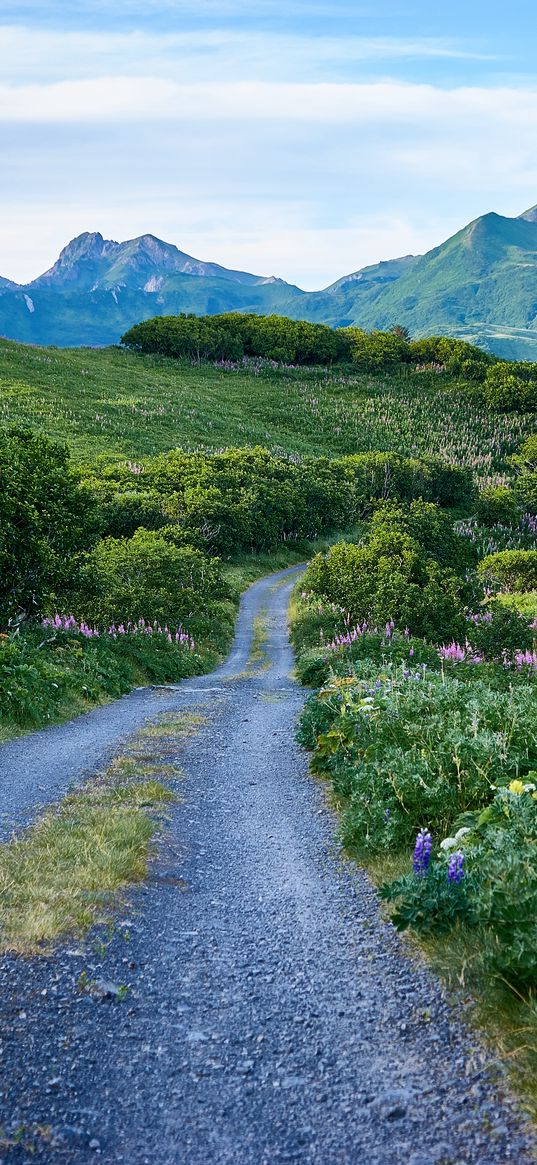 road, mountains, hills, greenery, landscape