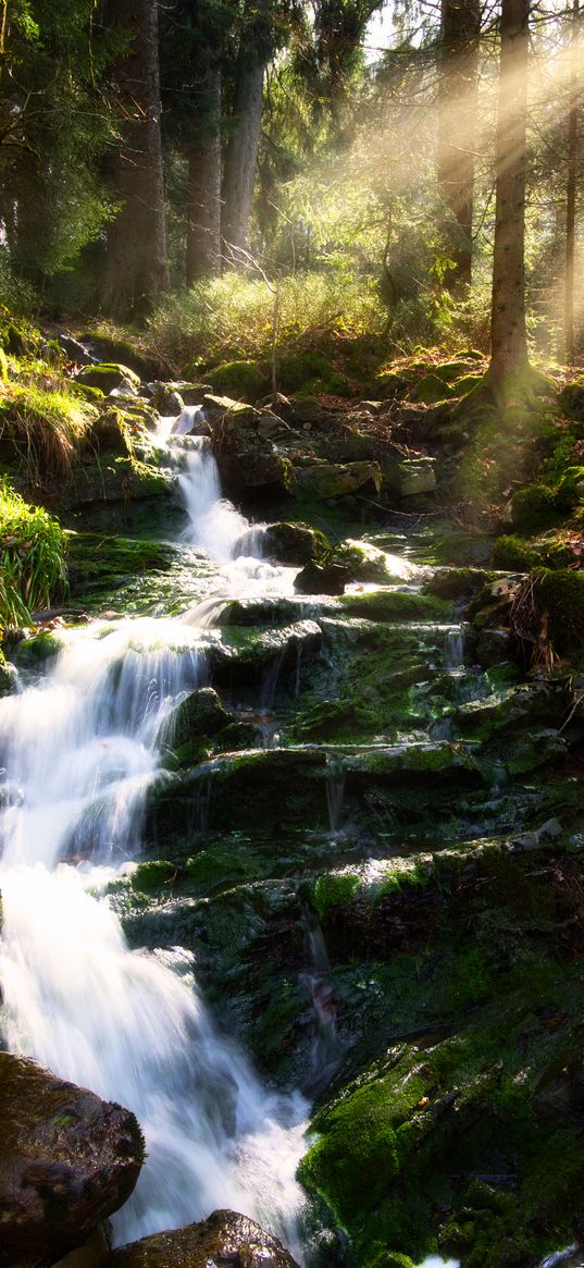 waterfall, slope, stream, stones, forest