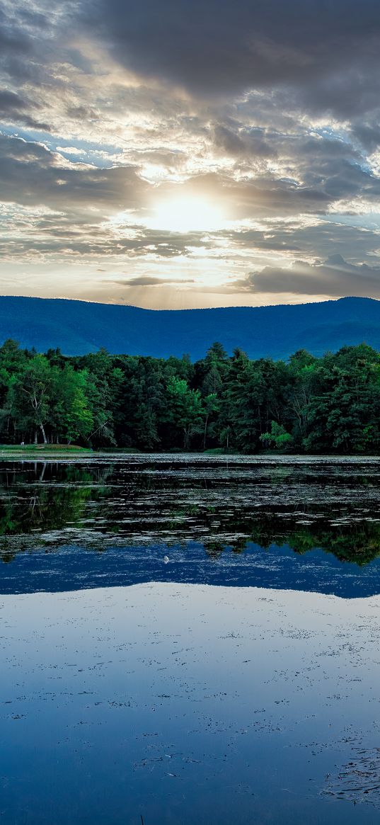 hill, water, trees, reflected, rays