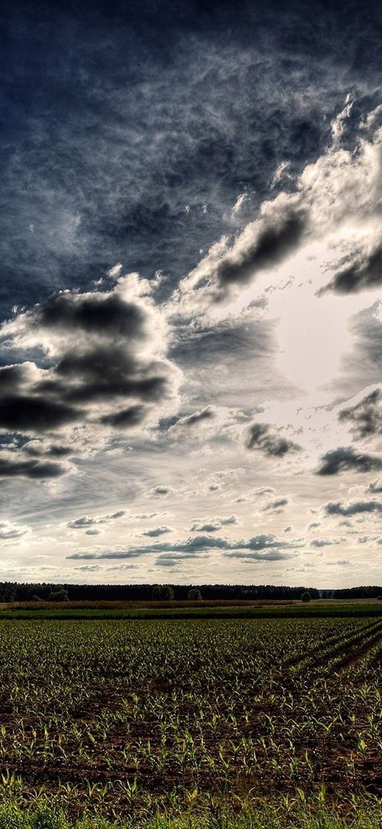 field, arable land, clouds, sky, numbers, hdr