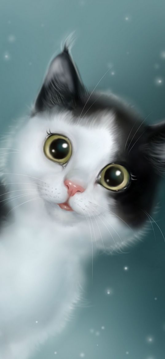 cat, cute, pet, art