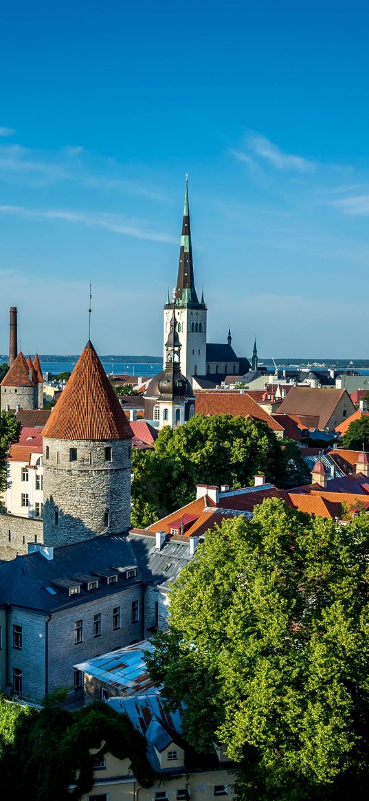 city, architecture, tower, old, tallinn, estonia