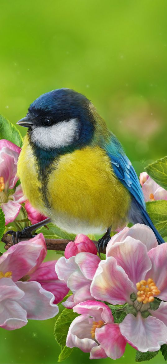 tomtit, bird, flowers, bright, art