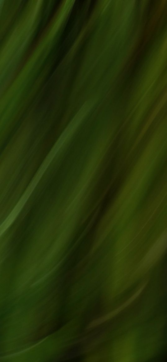 stripes, lines, distortion, blur, green