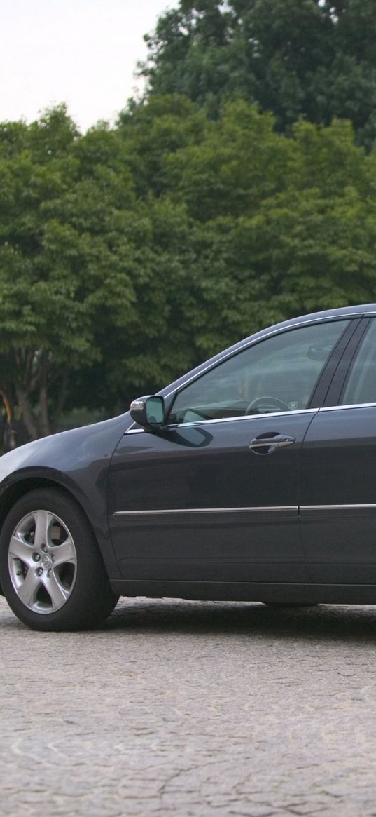 acura, rl, gray, side view, style, cars, trees, asphalt