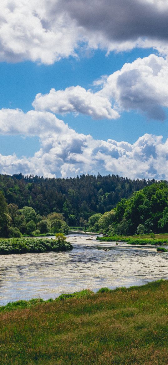 river, forest, trees, grass, meandering