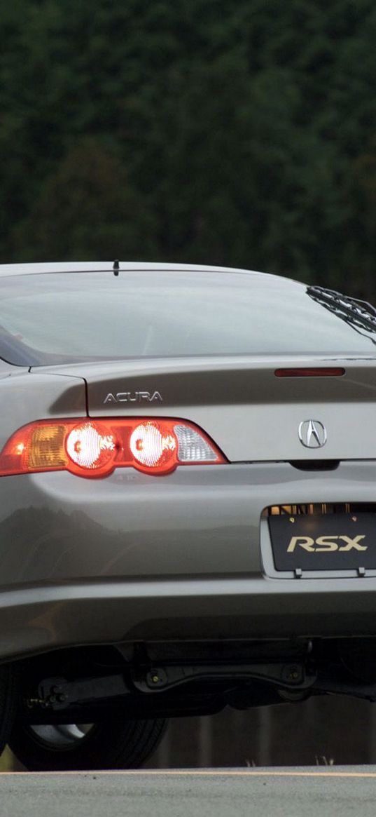 acura, rsx, 2002, gray, rear view, style, cars, trees