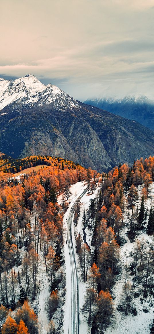 road, mountains, forest, trees, snow, snowy