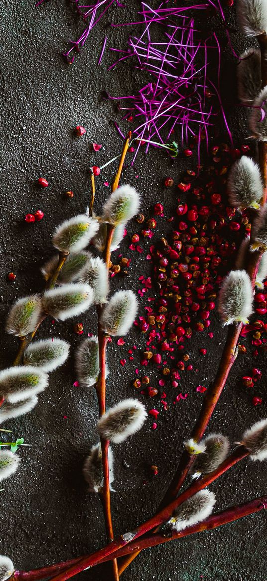 osier, plants, spices, texture