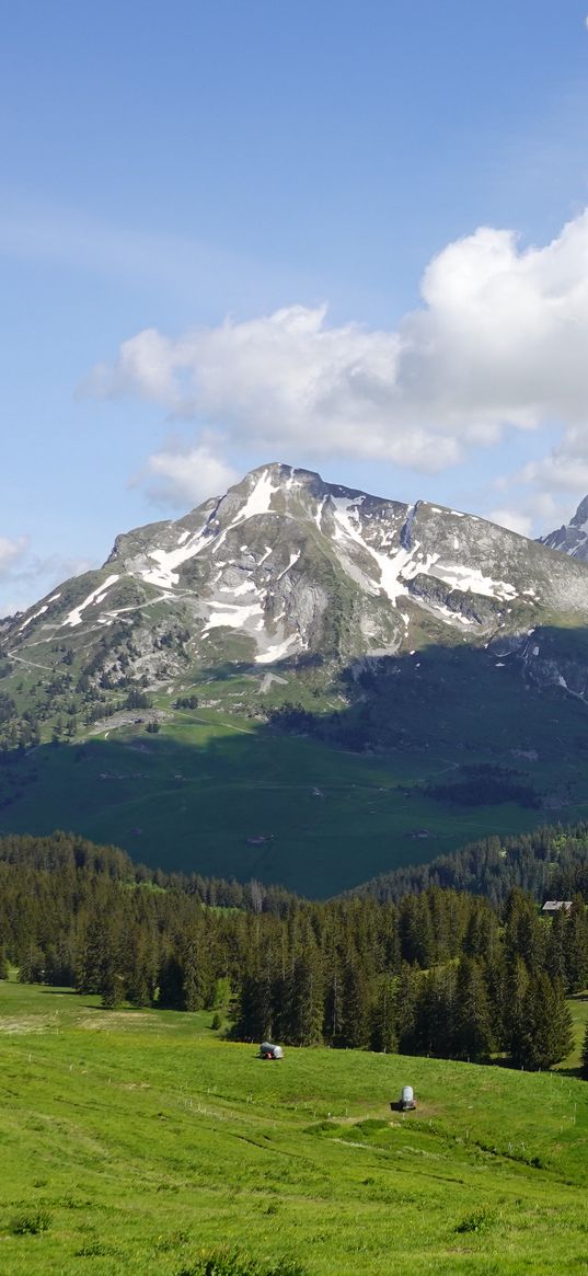 mountains, peaks, snow, snowy, trees