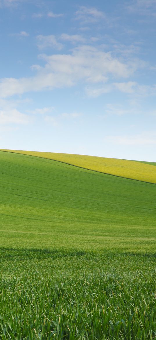 field, meadow, hill, sky, minimalism