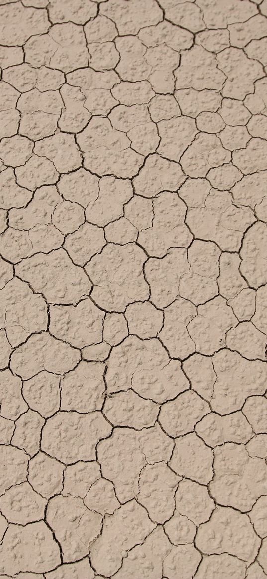 cranny, dryness, surface, texture