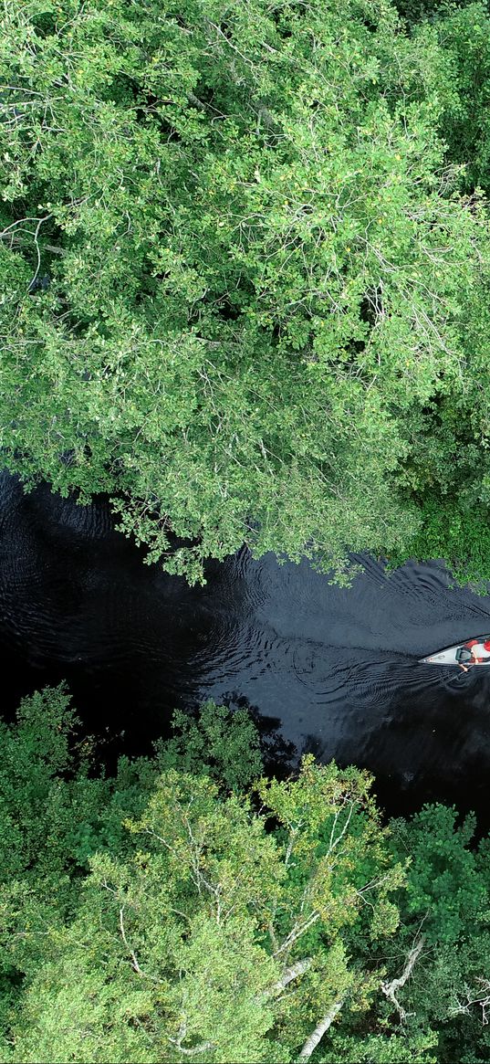 boat, kayak, river, aerial view, trees