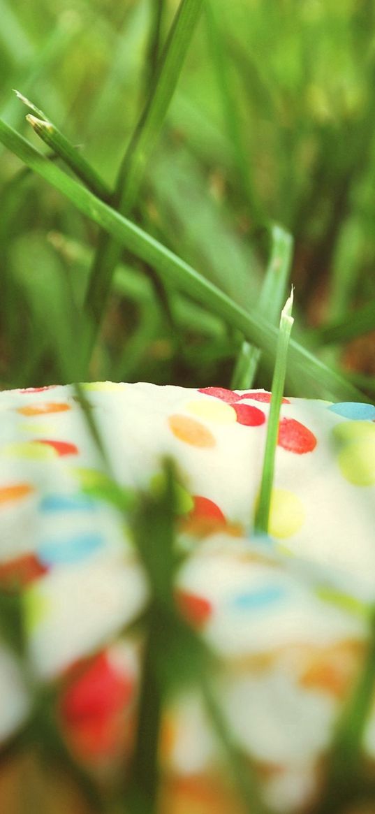 donut, sprinkling, colorful, grass