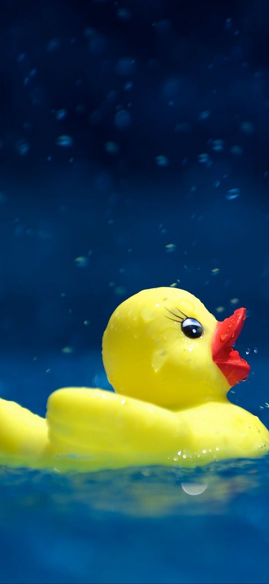 duckling, toy, water, spray, drops