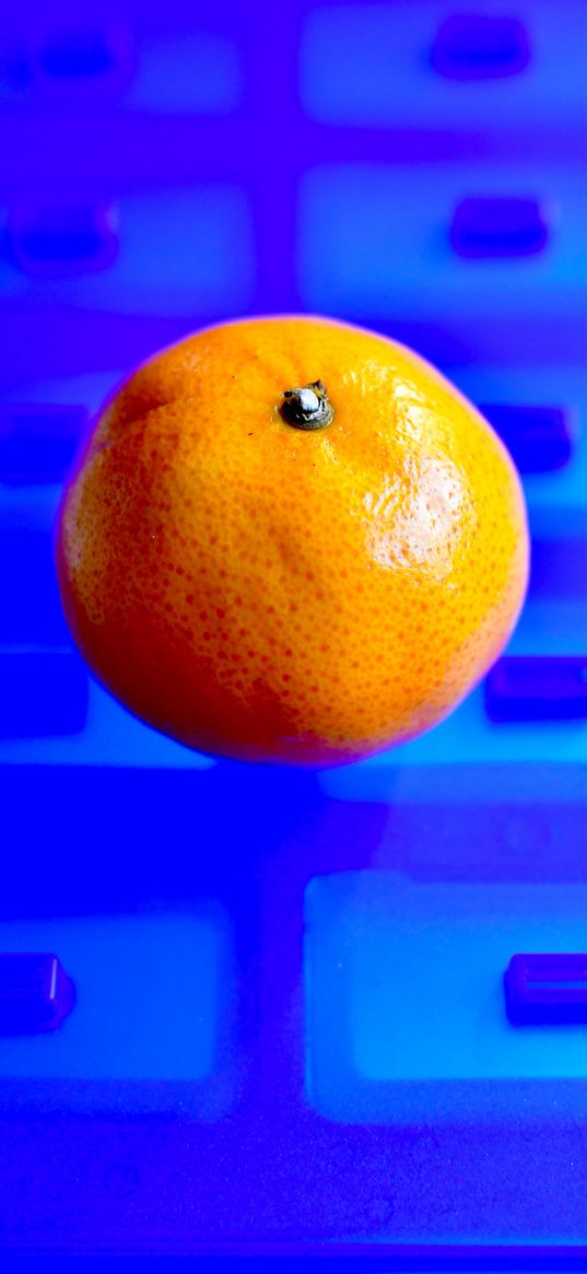 mandarin, fruit, citrus, photoshop, blue