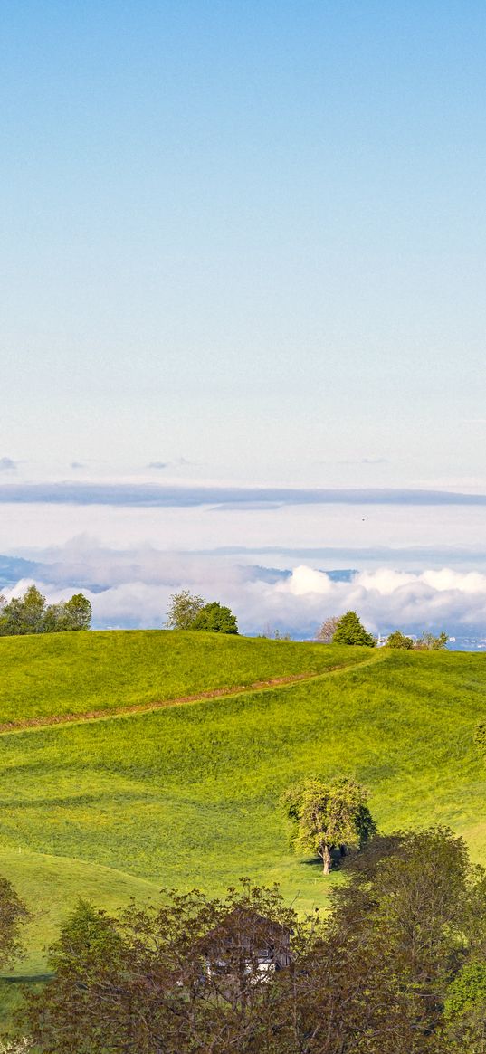 field, hill, trees, hut, path, sky