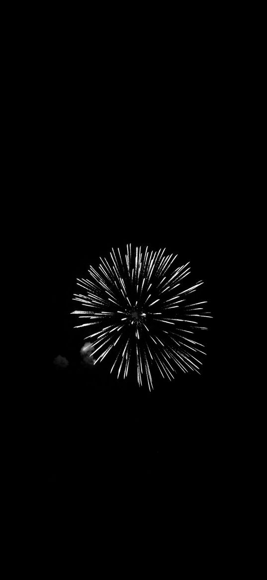 fireworks, salute, night, black, bw