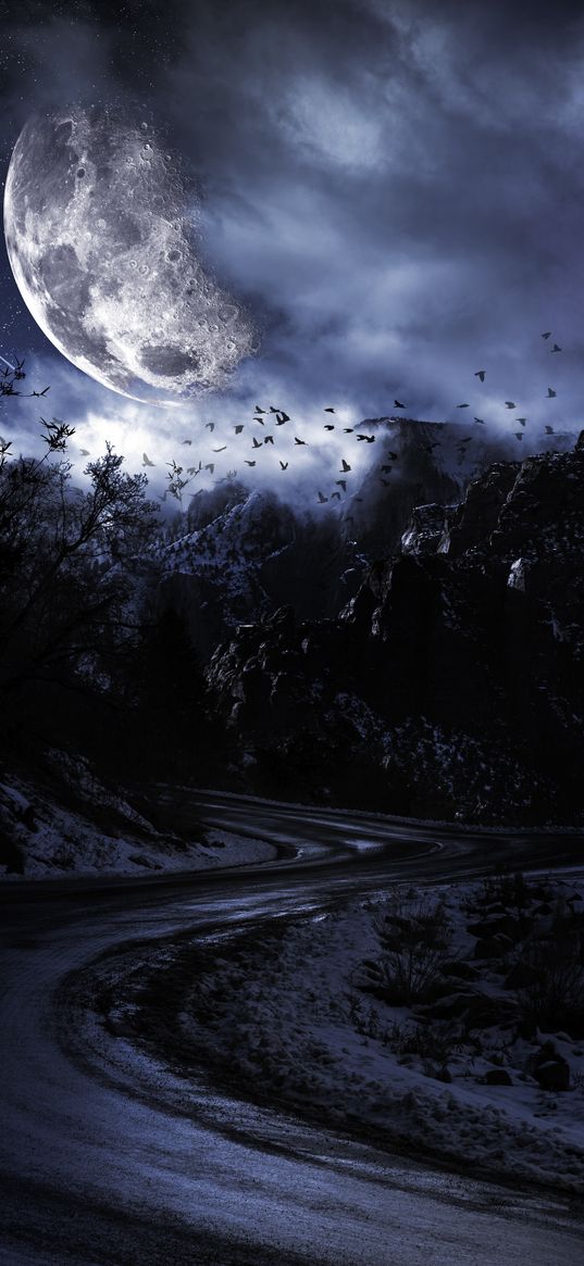 rocks, road, moon, branches, birds, night