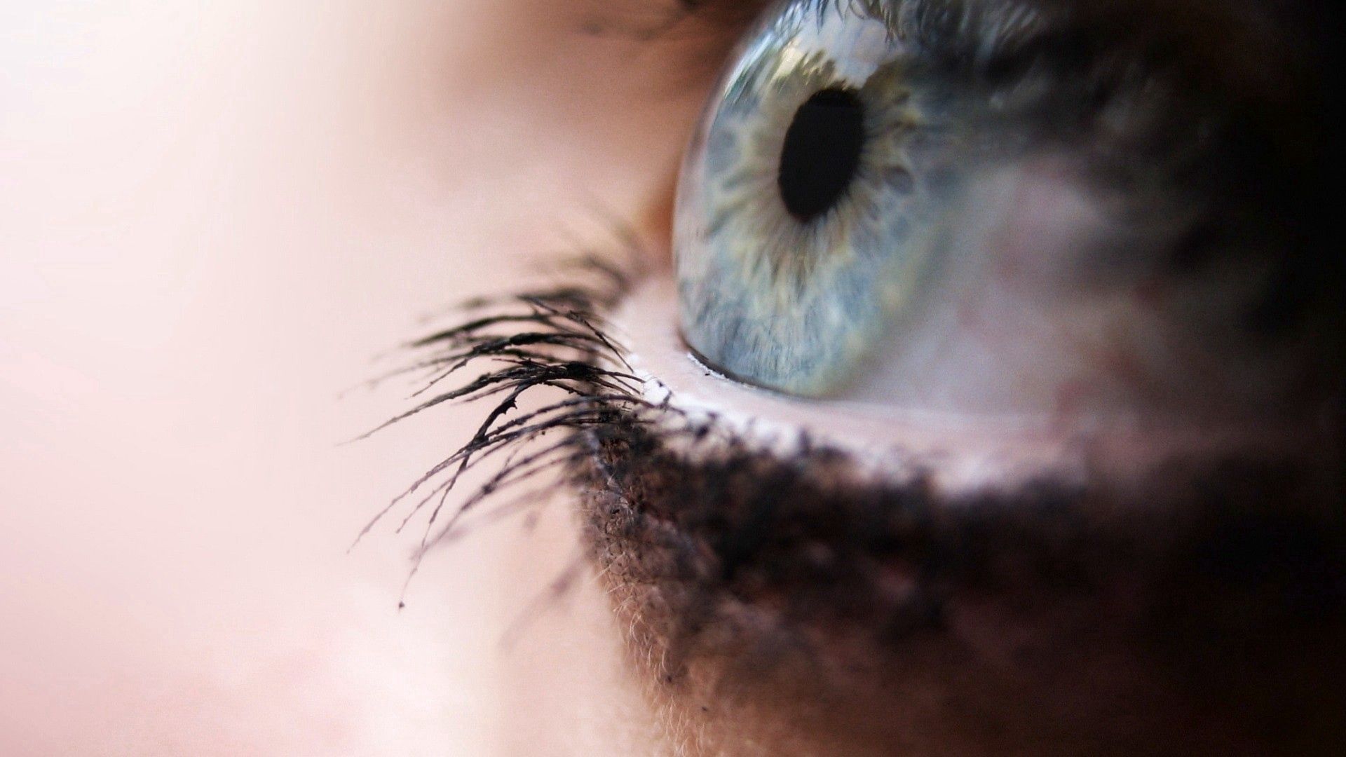 eyes, eyelashes, pupil